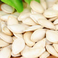 Edible pumpkin seeds in shell